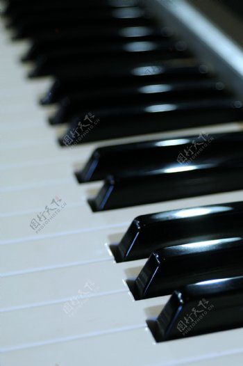 琴键图片