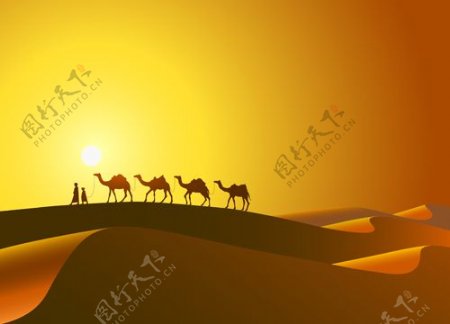 沙漠骆驼背景矢量