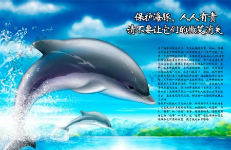 保护海豚宣传海报