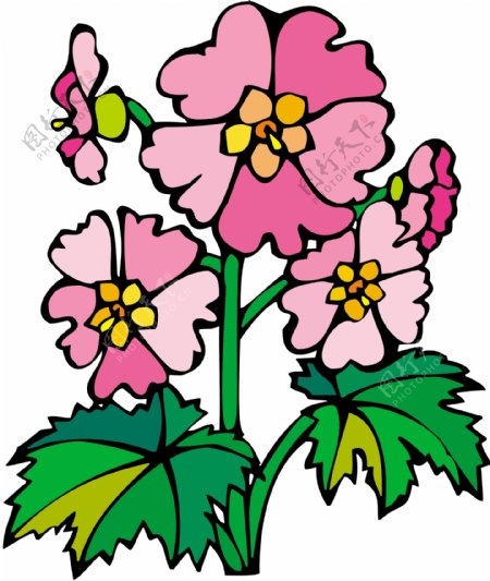 牡丹玫瑰菊花