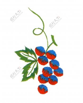 绣花植物水果葡萄红色青色免费素材
