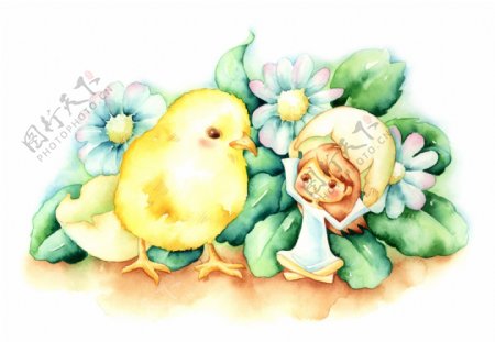 小鸡和小女孩彩绘PSD