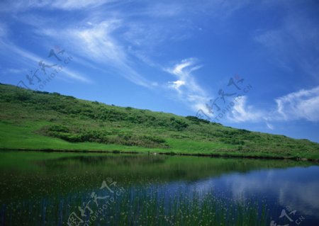 湖泊草丛