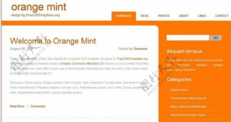 柳橙薄荷信息网页模板