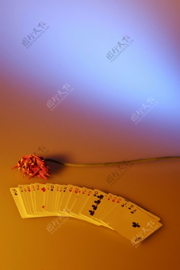 扑克牌牌纸牌