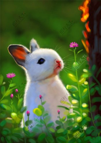 手绘春天的兔子图片
