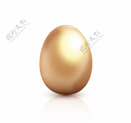 金色鸡蛋设计矢量素材