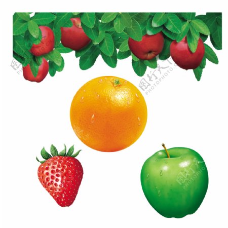苹果橙子草莓高清水果图