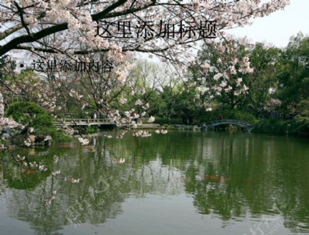 杭州西湖十景图片4