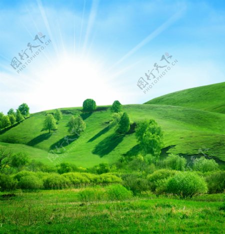 绿色高山草原图