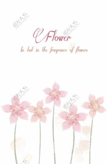 五朵盛开的花