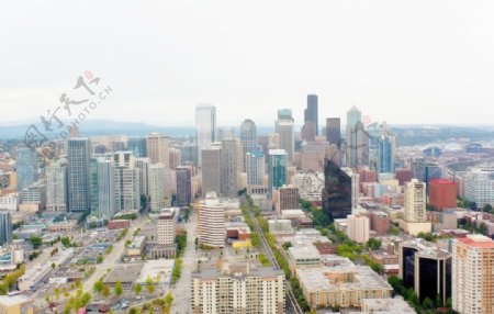 西雅图高层建筑的天际线