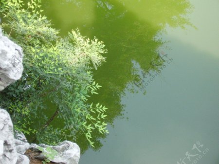 扬州何园池塘