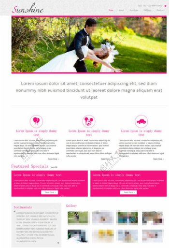欧美浪漫婚礼网站模板图片