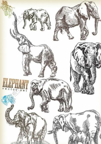 大象卡通动物设计动画图片