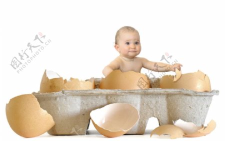 鸡蛋壳中的可爱婴儿宝宝图片