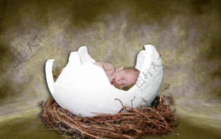 蛋壳中的婴儿图片