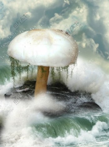 梦幻世界蘑菇图片