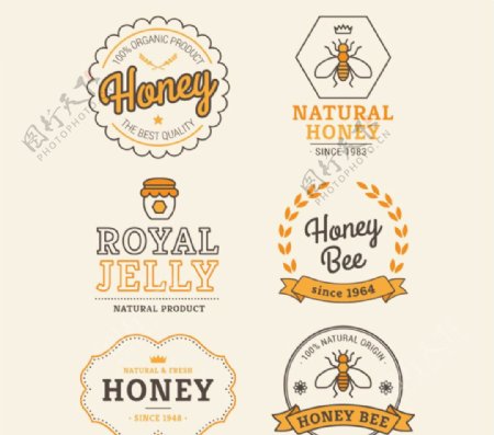 创意蜂蜜标签矢量素材图片