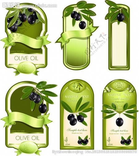 橄榄橄榄油标签图片