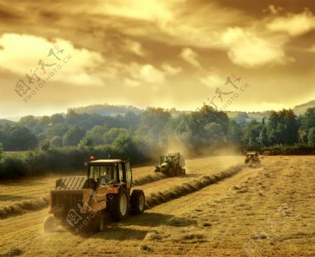 农场风景图片