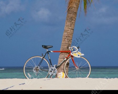海边自行车图片