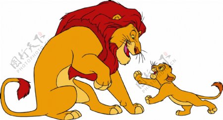 雄狮辛巴达和小狮子卡图片