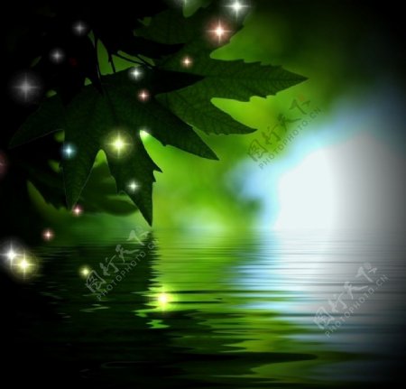平静湖水绿叶背景图片