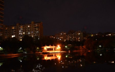 鲁信长春花园夜景图片