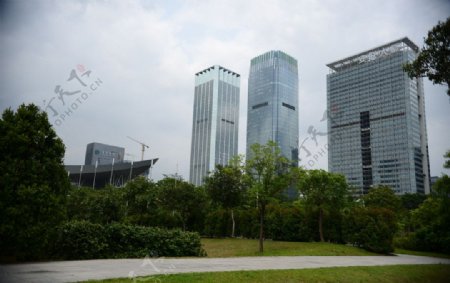 深圳市民中心公园图片