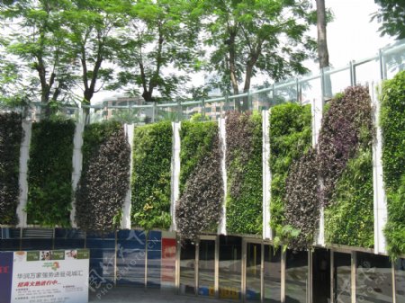 垂直绿化商业广场图片