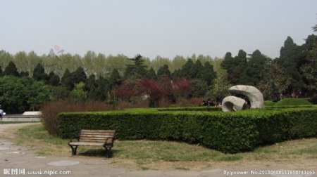 公园绿化图片