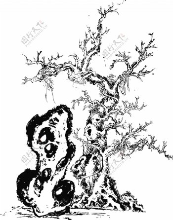怪石古树枝桠图片