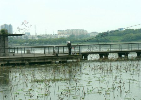 武汉琴台公园图片
