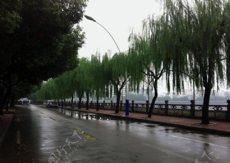 雨后街景图片