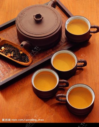 茶之文化101图片