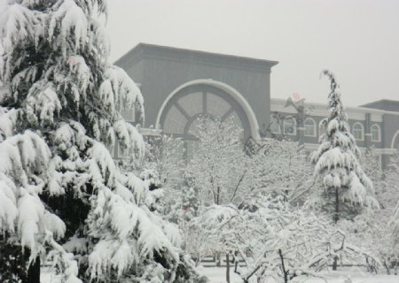 太原理工大学雪景图片