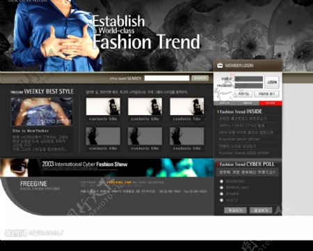 韩国服装网站模板图片