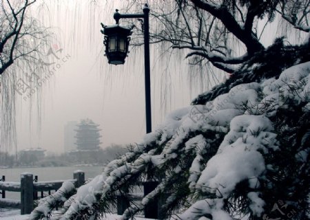 大明湖公园雪景图片