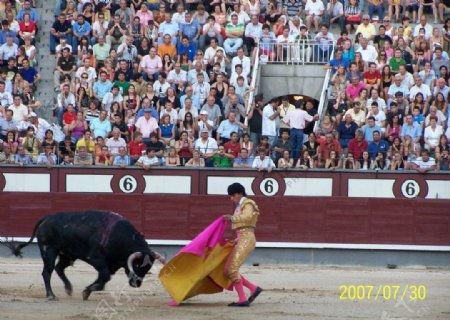西班牙斗牛图片