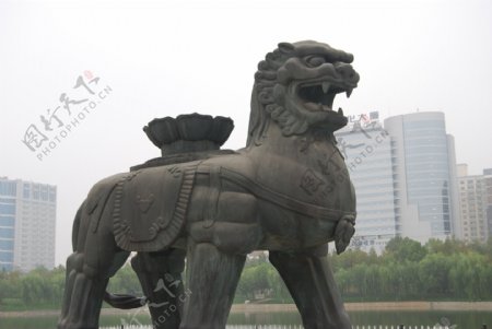 沧州铁狮子图片