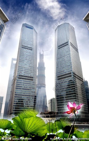 上海国金大厦图片
