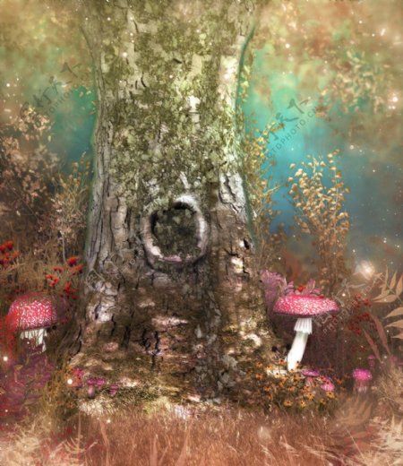 童话背景古树蘑菇图片