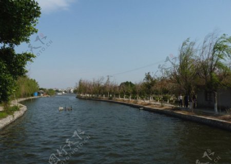 白塘公园自然湖景色图片