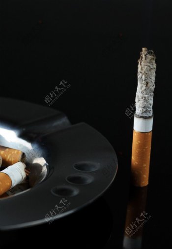 香烟烟草图片