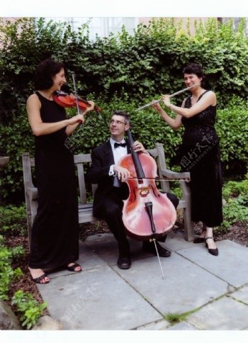 乐队大提琴小提琴男女表演演奏音乐家花园椅子图片