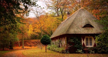 秋天的林间小屋图片