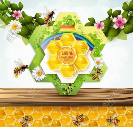 蜜蜂鲜花绿叶蜂巢背景图片