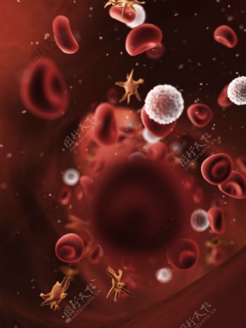 微观世界细胞血细胞图片