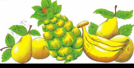 梨香蕉菠萝图片